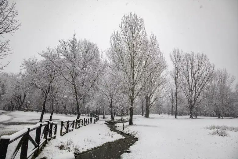 En imágenes: una intensa nevada cubrió las calles de Madrid