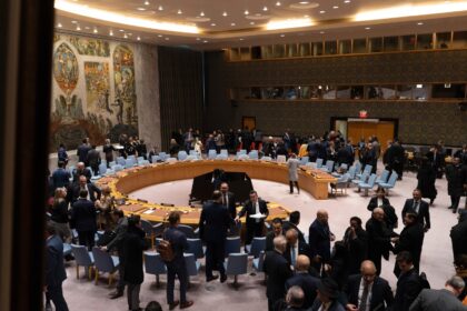 Consejo de Seguridad de la ONU: las reacciones sobre Venezuela de los Estados miembros