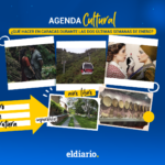 ¿Qué hacer en Caracas durante las dos últimas semanas de enero?