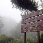 Incendio en el Parque Nacional Henri Pittier dejó 27 hectáreas afectadas