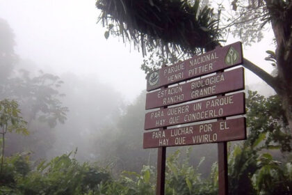 Incendio en el Parque Nacional Henri Pittier dejó 27 hectáreas afectadas