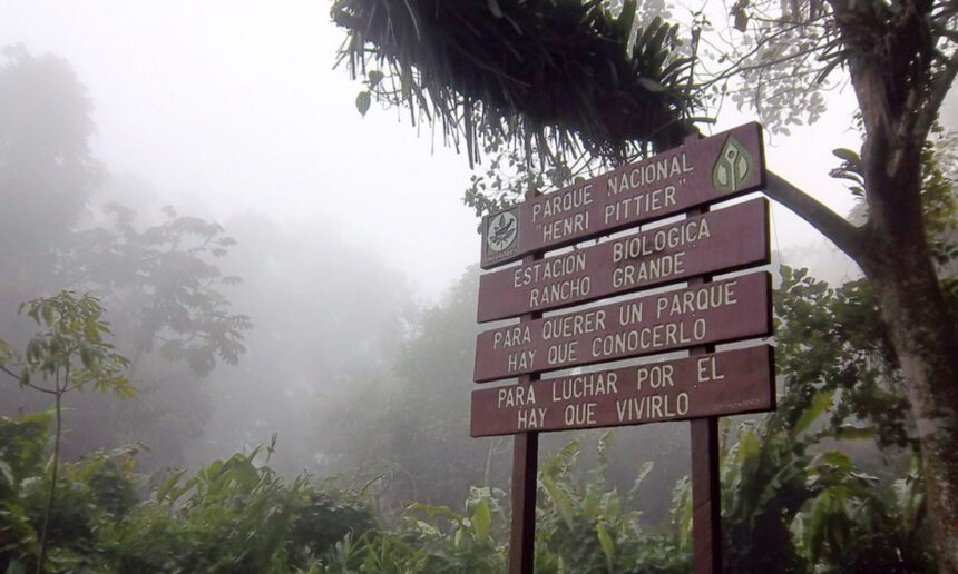 Incendio en el Parque Nacional Henri Pittier dejó 27 hectáreas afectadas