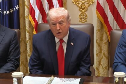 Borrador automático