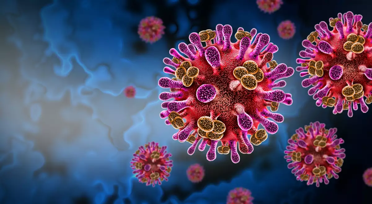 #TeExplicamos | ¿Qué es el virus Nipah y por qué causa alarma en la India?