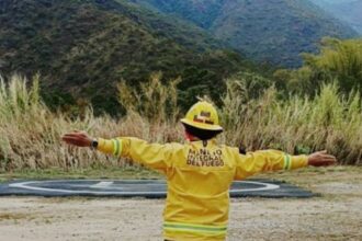 Autoridades controlaron incendio forestal en el parque nacional Henri Pittier