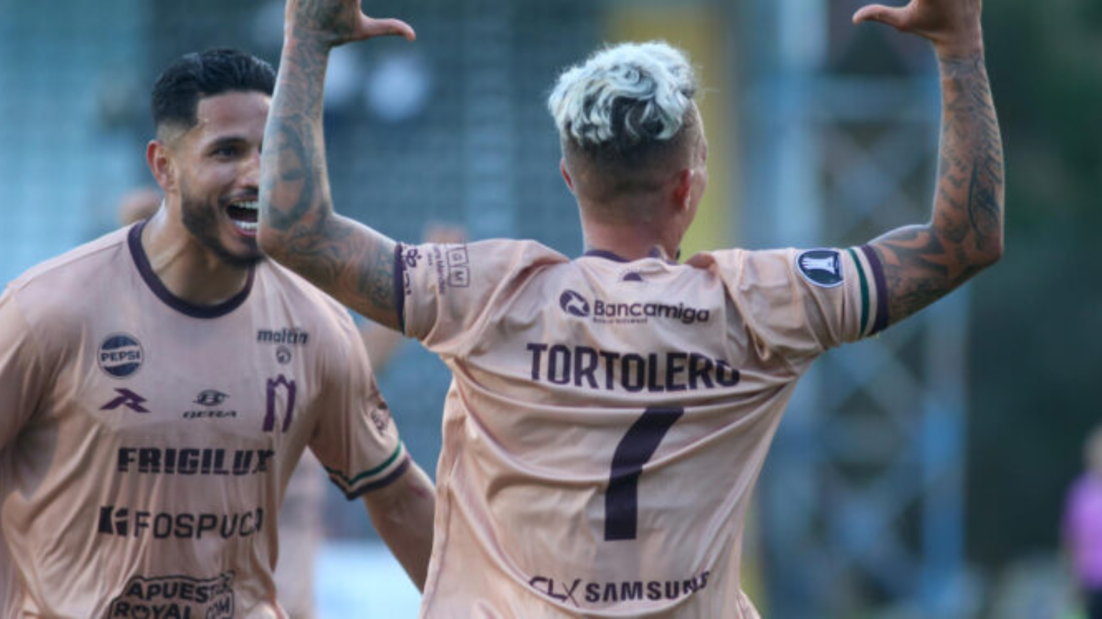 Borrador automático