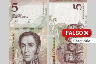 ¿Comenzaron a circular “dólares venezolanos”?