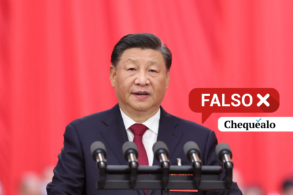 Borrador automático