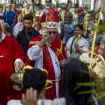 Borrador automático