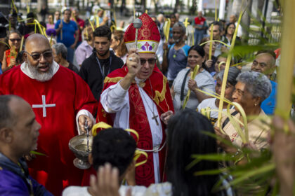 Borrador automático