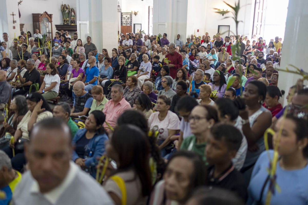 Borrador automático