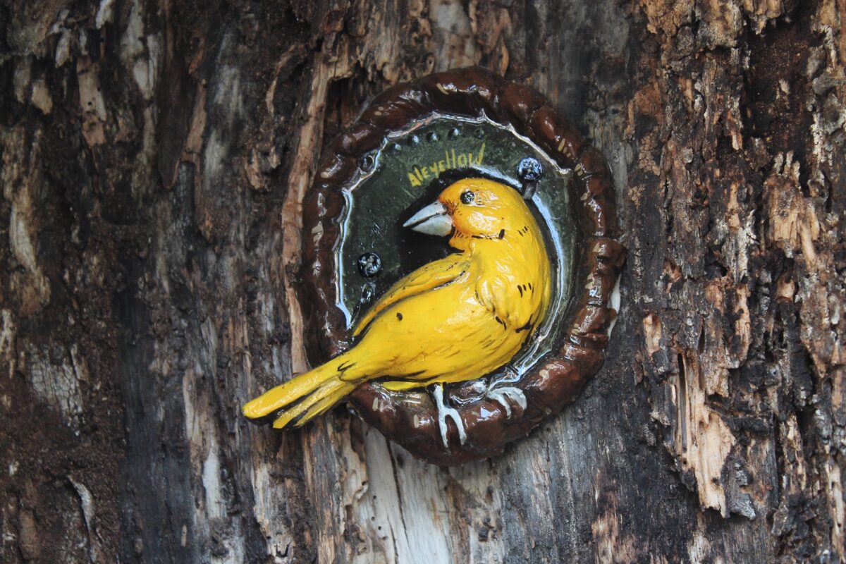 Alejandra Cedeño y su misión de sanar con arte las cicatrices de la ciudad 