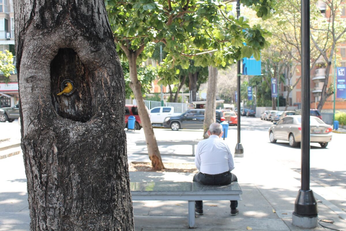 Alejandra Cedeño y su misión de sanar con arte las cicatrices de la ciudad 