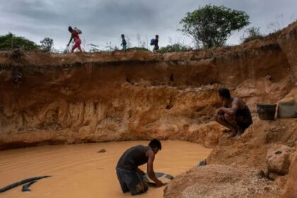 #TeExplicamos | ¿Cómo es la realidad de Venezuela que la AN planea cambiar con su nueva ley de minería?