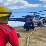 Borrador automático