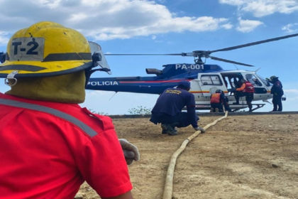 Borrador automático