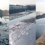 Pescadores denunciaron que un derrame petrolero registrado a inicios de marzo persiste en en Paraguaná 