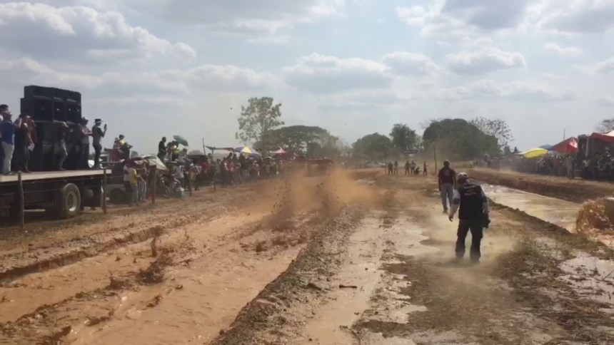 Borrador automático