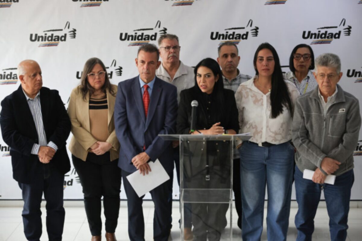 Adriana Pichardo: “Nuestro único objetivo y fin es la transición hacia la democracia”