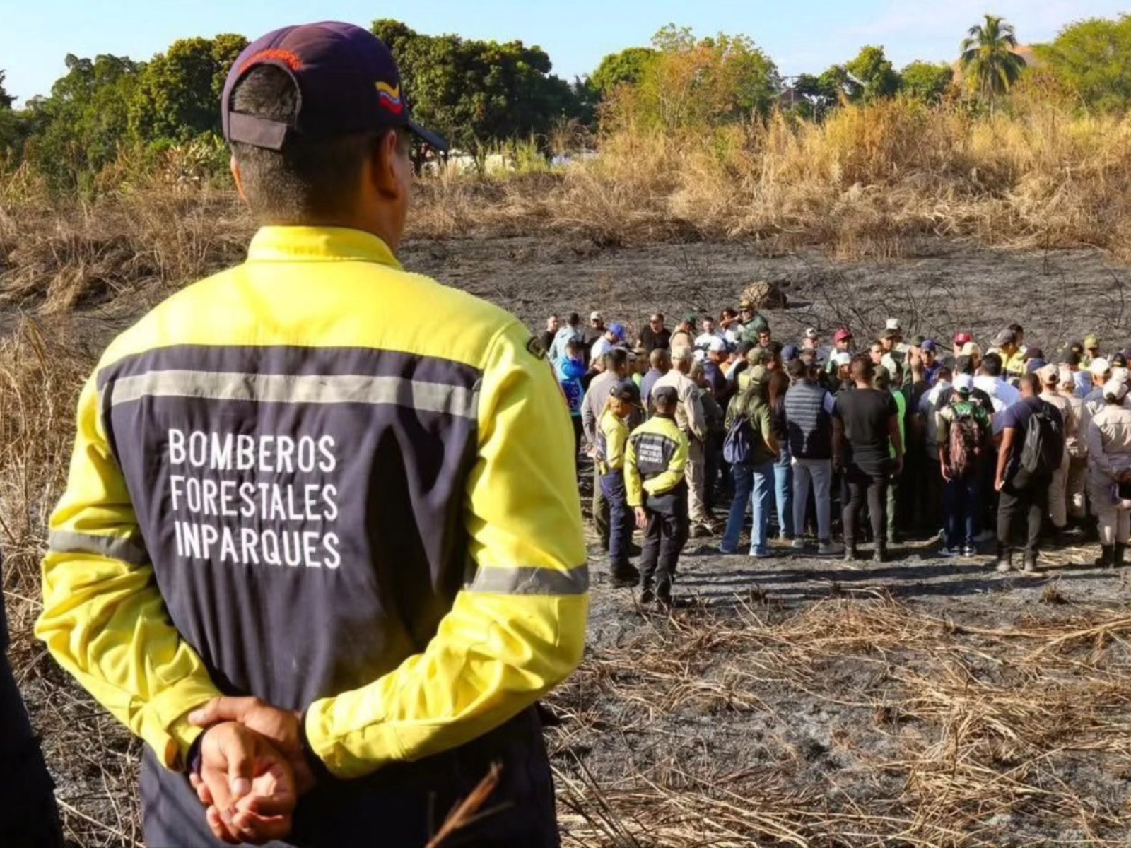 Authorities activated a plan to extinguish fires in Henri Pittier National Park