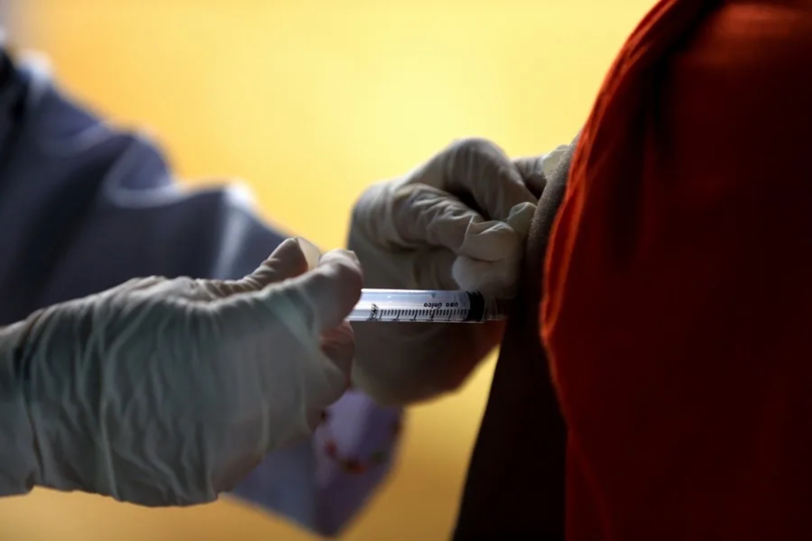 Health Sector Organizations in Venezuela Demand Action Amidst "Beginning" of Yellow Fever Epidemic