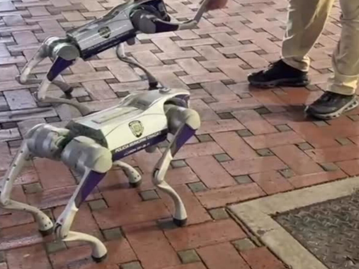 Alcaldía de Chacao desplegará perros robots para monitorear el municipio