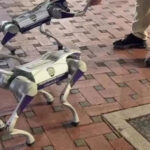 Alcaldía de Chacao desplegará perros robots para monitorear el municipio