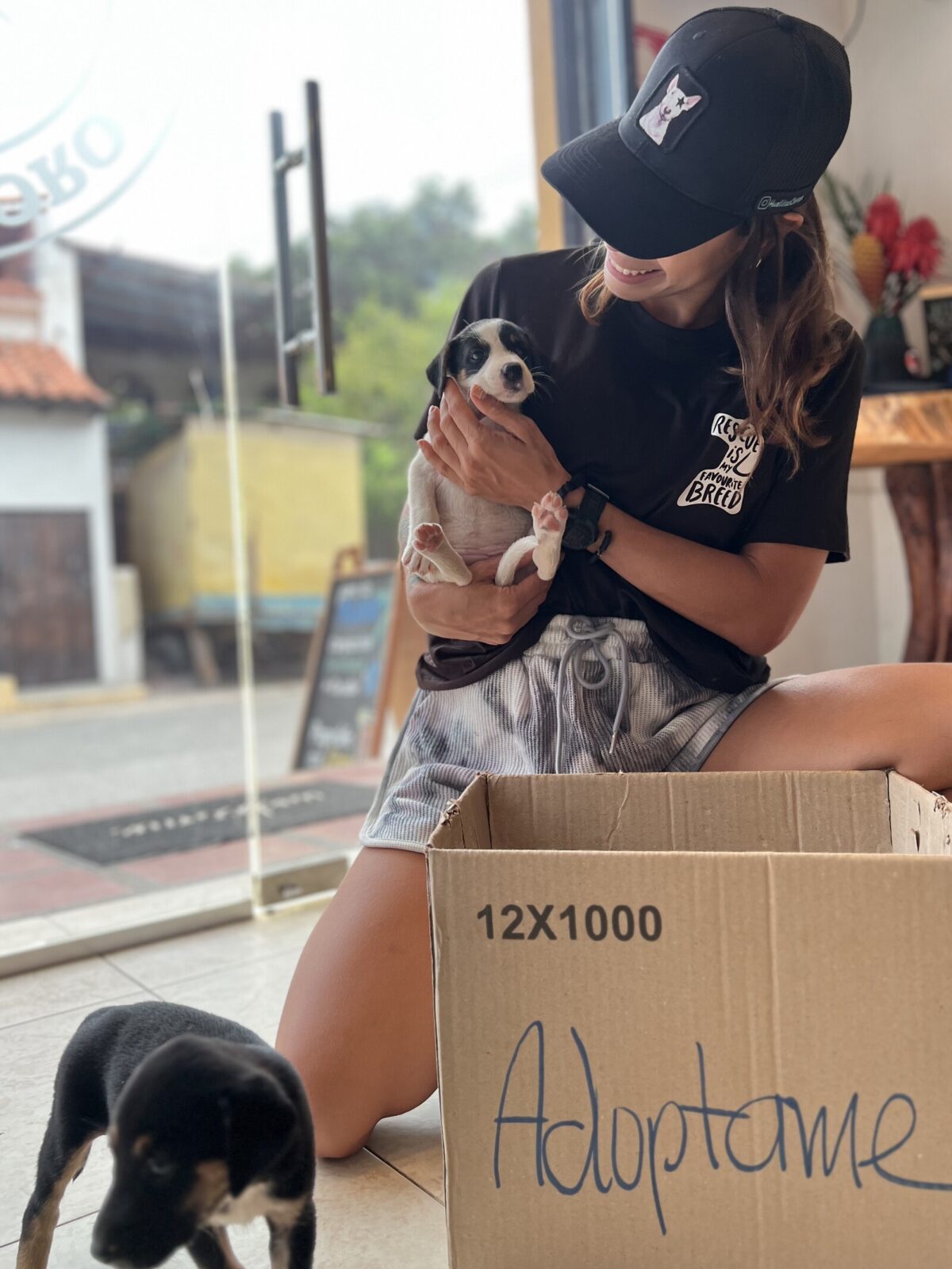 “Perri guías”: el proyecto que transforma el turismo y la vida de los perros en Choroní