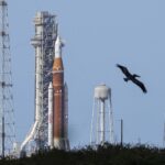 Borrador automático