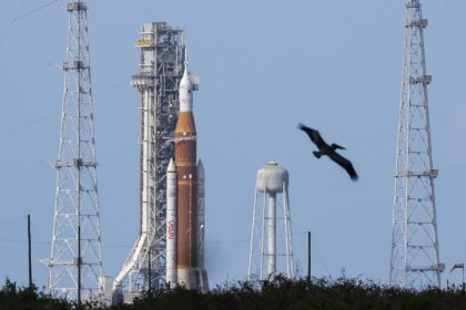 Borrador automático