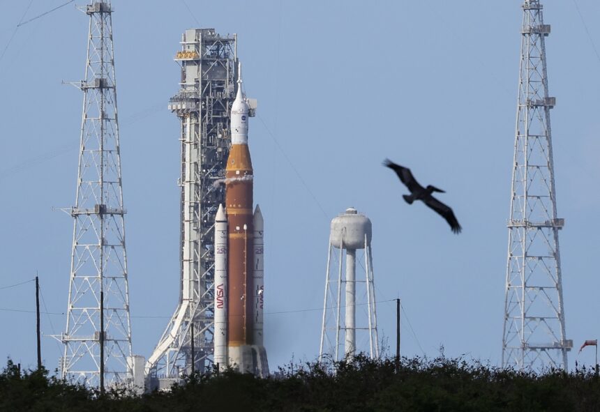 Borrador automático