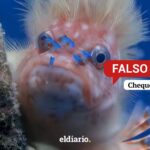 ¿Descubrieron una nueva especie de pez en Venezuela?