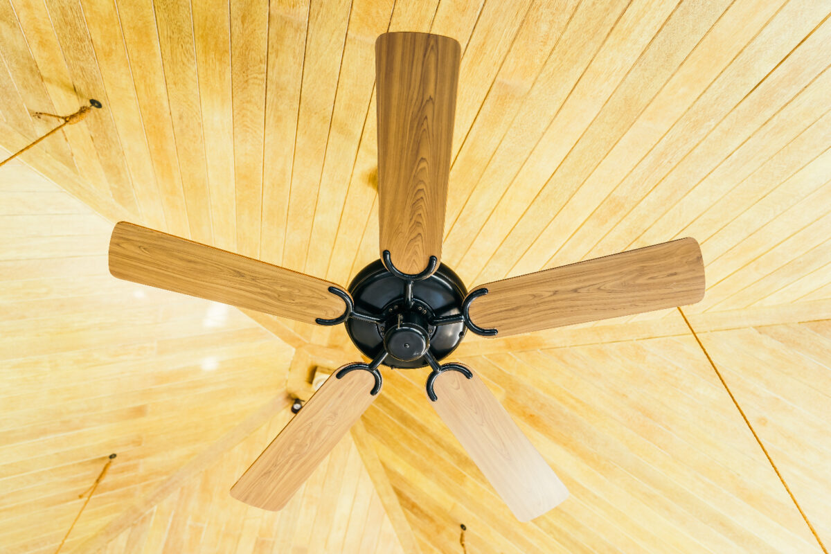 ¿Cuánto cuestan ventiladores, aires acondicionados y reguladores de voltaje en Caracas?