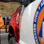 Borrador automático