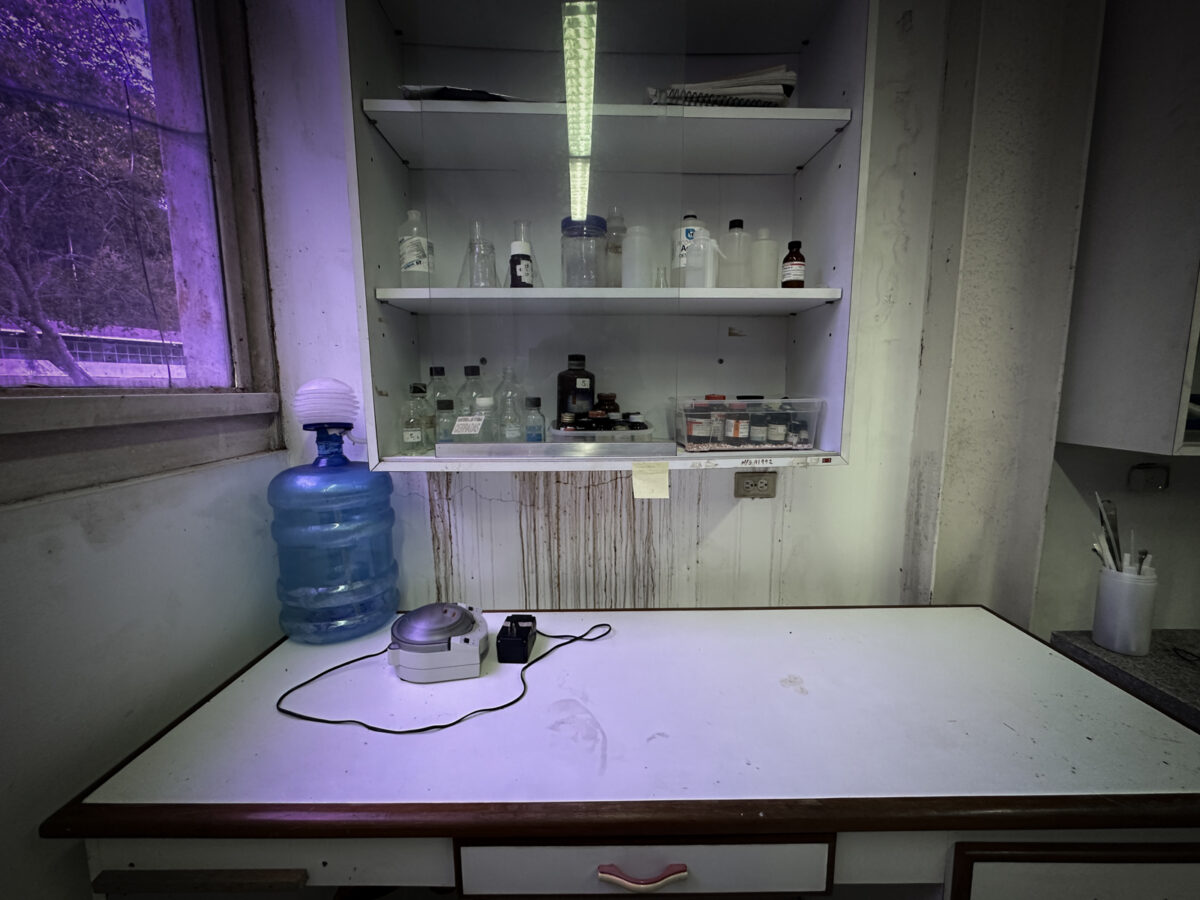 Una USB desolada y en deterioro exige elecciones para frenar su decadencia