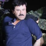 El Chapo Guzmán pidió ser extraditado a México desde EE UU: lo que se sabe