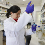 La prometedora vacuna chilena contra el hantavirus que busca financiamiento para su fase clínica