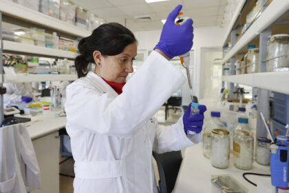 La prometedora vacuna chilena contra el hantavirus que busca financiamiento para su fase clínica