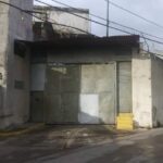 La Crisálida