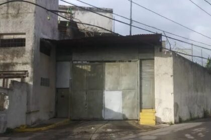 La Crisálida