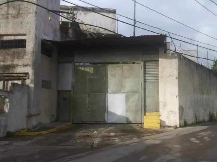 La Crisálida