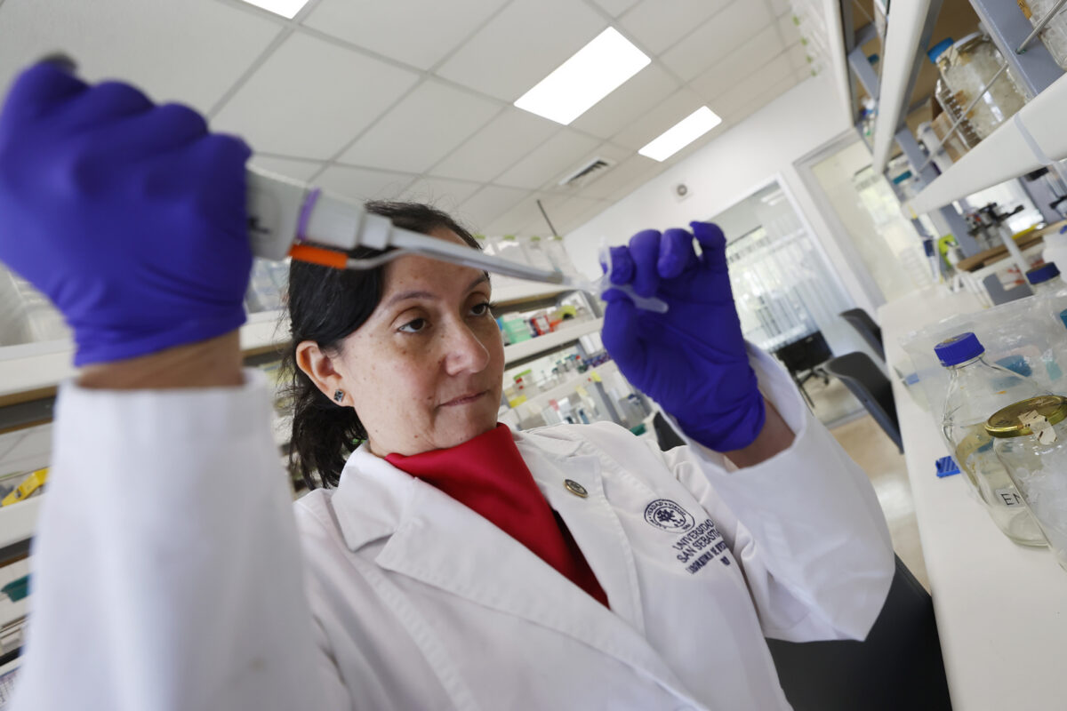 La prometedora vacuna chilena contra el hantavirus que busca financiamiento para su fase clínica