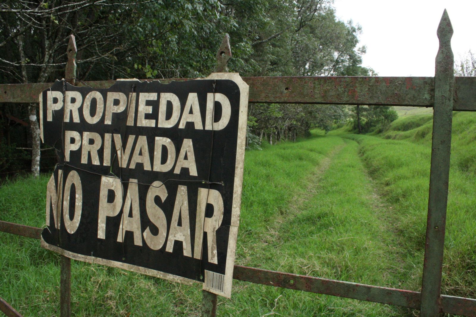 Cover image for Cedice propuso una ley para reparar bienes expropiados y devolver activos tomados por el Estado