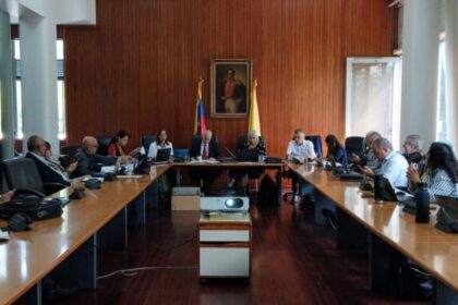 Consejo universitario de la UCV reprogramó elecciones estudiantiles y profesorales para el 10 de julio