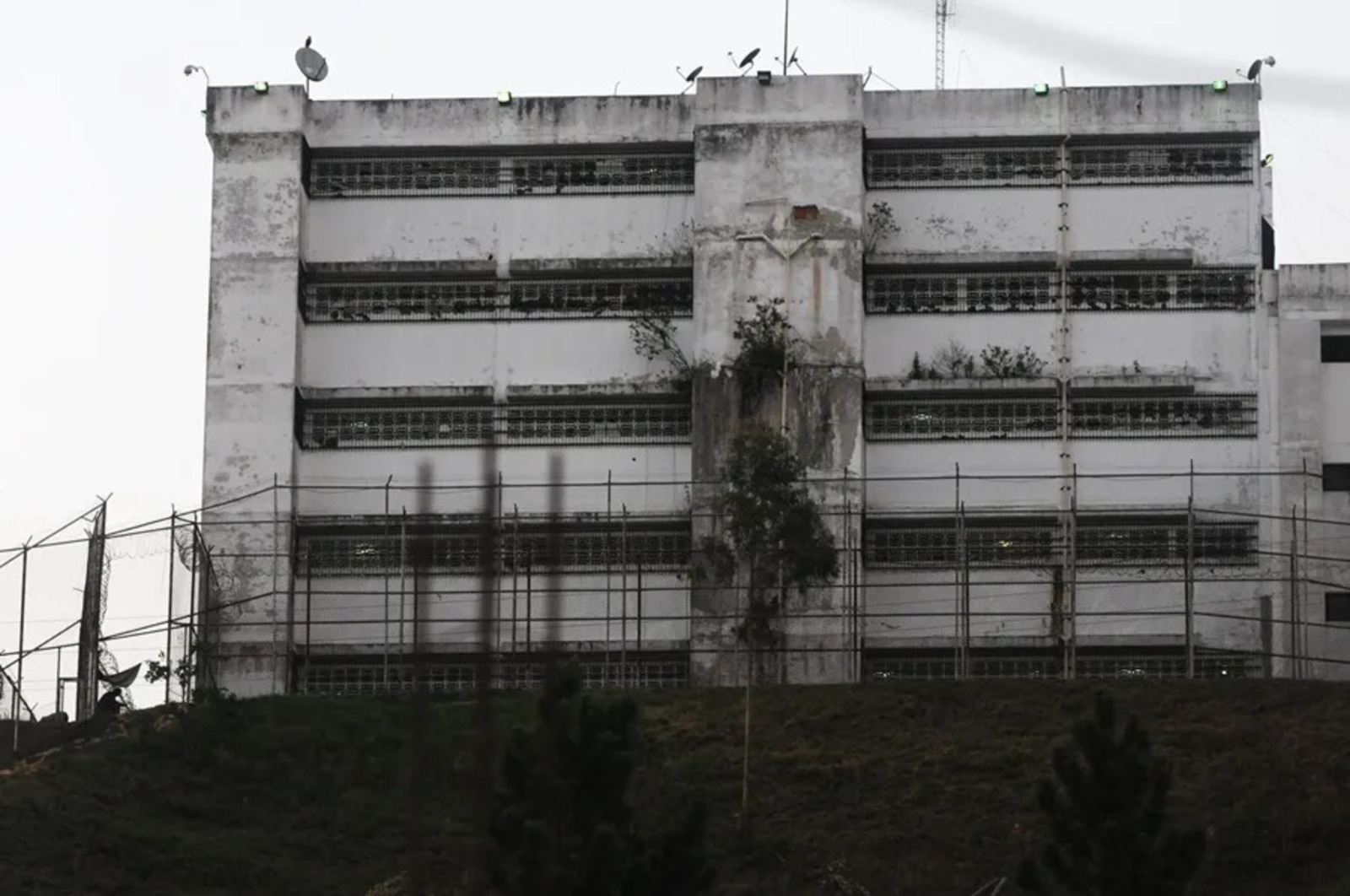 Cover image for Te Explicamos El Día