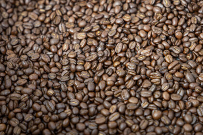AN aprobó ley para impulsar la producción y exportación de café venezolano: ¿qué contempla la norma?