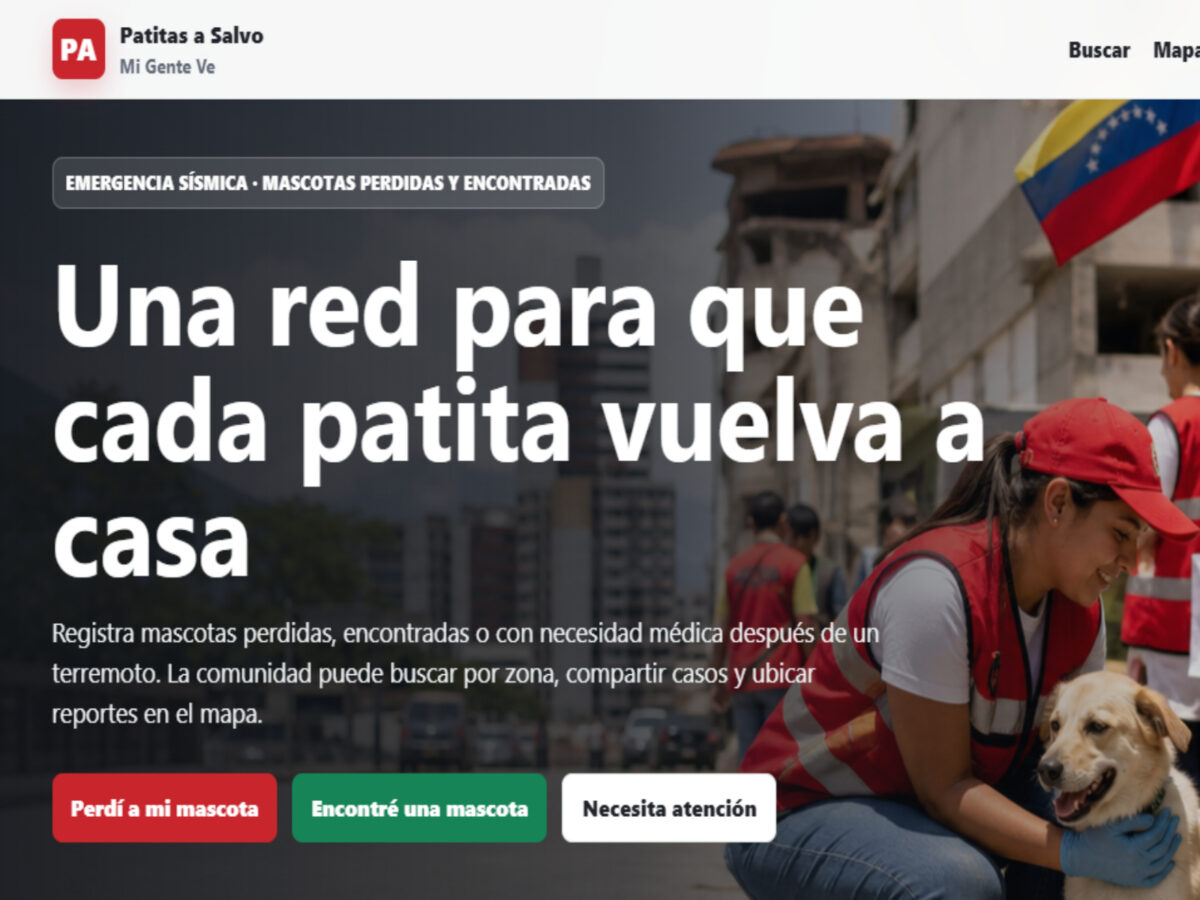 Habilitaron página web para buscar mascotas desaparecidas tras el terremoto en Venezuela