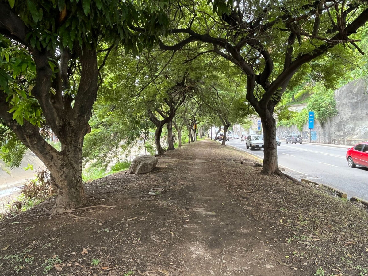Parque Lineal Río Guaire: entre la transformación urbana y las dudas de los vecinos