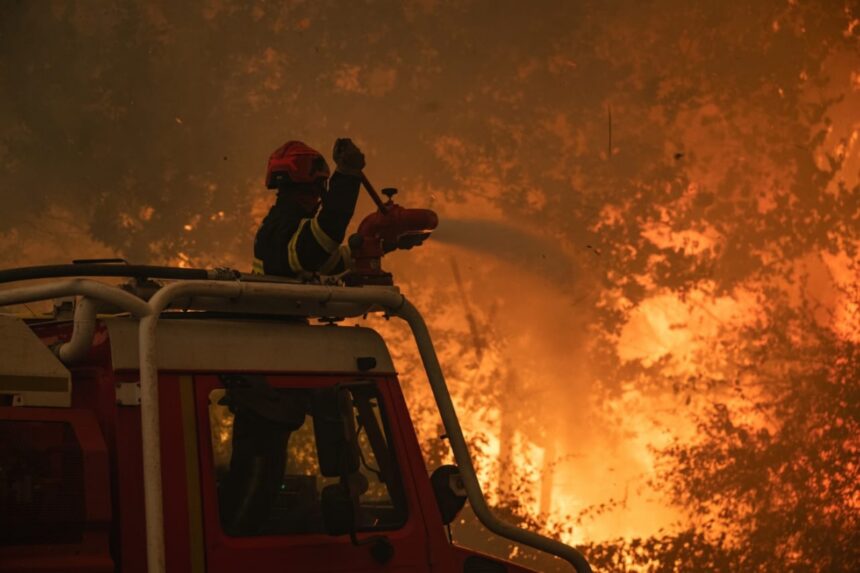 En imágenes: incendios en España y Francia han dejado más de 250 mil evacuados y miles de hectáreas quemadas