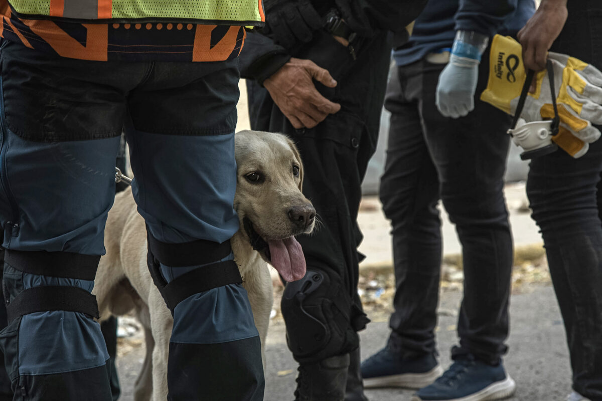Rescatistas intentan salvar a Fabio, un niño de 9 años atrapado entre los escombros en La Guaira